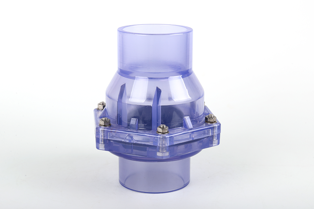 钦州透明翻板式止回阀